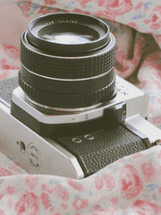 이제 다신 케이팝 안 해