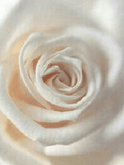 주변인물소개/관계