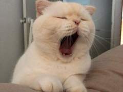 127막내 김여주 모먼트 EP.27