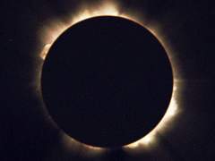 사하라×이화도