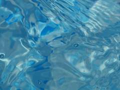 フロイド・リーチ