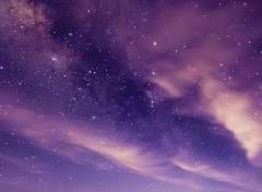 Lilium Aster Ashmond