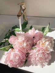 다정도 병인양하여