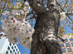 [조각/단편] 우연