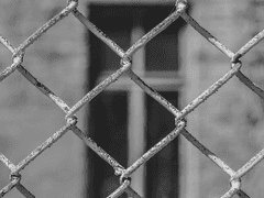 [정진] 방과 후 특별활동 3) 활동 계획 수립