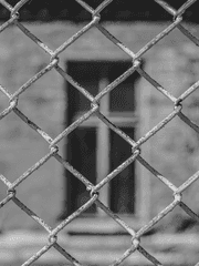 [정진] 방과 후 특별활동