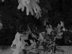 𝙵𝚊𝚔𝚎 𝚖𝚊𝚗