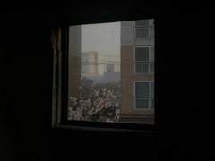 나는 그것을 운명이라 부르지 않는다 4