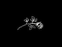 인간관계의 한계를 마주했다