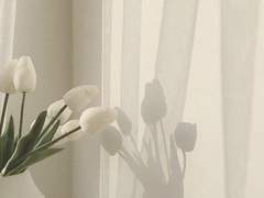 일기 쓰기 귀찮아서