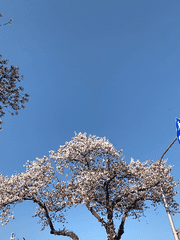 하츠미 게스트하우스에서