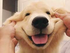 누군가를 좋아하면