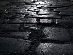 연약한 것은 마찬가지로 부서져 내리더라