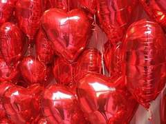 양 슬기 18 2학년