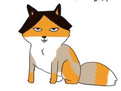 [하이큐] 스나 린타로