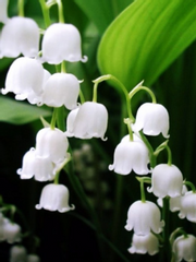 섭남파업(예서른 위주)