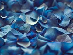 칸쿠쿠 헤이스케가 삽질하는 얘기