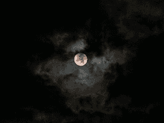 신원미상의 일기 3