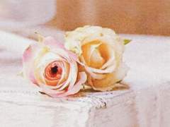 권규린/18/2학년