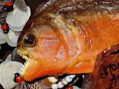 낯선 문화 독특한 경험의 맛, 음식과 과일