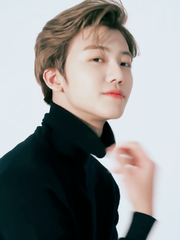 엘리제를 위하여