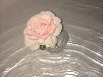 나의 구원이시여,