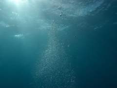 [로우산] 인어의 바다