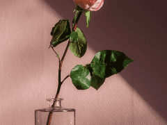 전지적 참견 시점(독자른)