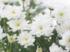 회사 일은 너무 힘들다