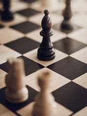 자캐 신청서 / 대필 / 캐빌딩 SMAPLE