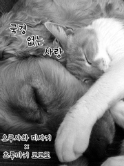 [뱅드림] 국경 없는 사랑