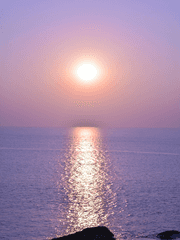 태양같은 너를 위해 쓴 글