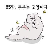 85화. 두부는 고양이다