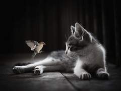 동시 - 숨바꼭질