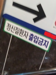 상세불명의 정신병 기록