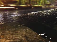 怪物 (괴물 / 七 )