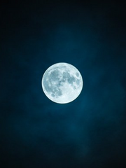 기타 개사 작업물