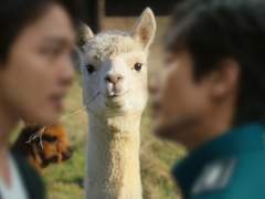 괴물] Beyond Back-up