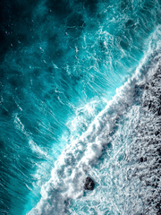 인어는 눈물을 흘리지 않는다