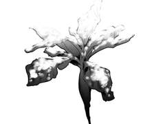 디페 부스 참가 공지