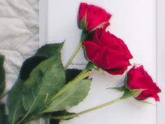 내가 그렇게 궁금해?