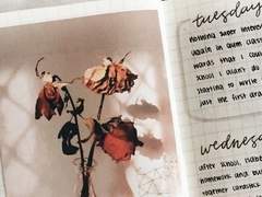 “ 나의 다섯번째 계절에게 ”