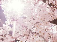 다시만날 수 있기를