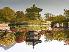 여기 계실 줄 알았습니다.