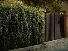 Magnitude 9.6: 15화 (최종화)