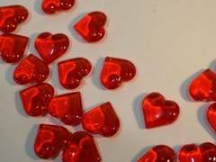 우리집 워킹데드