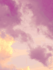 𝙼𝙰𝙶𝙴𝙽𝚃𝙰