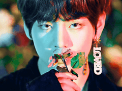 [방탄소년단 팬픽] 어느 날, 고양이가 되었습니다 09화