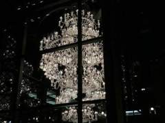 그토록 바라던 평화