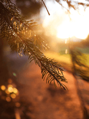 [준휘종훈] about